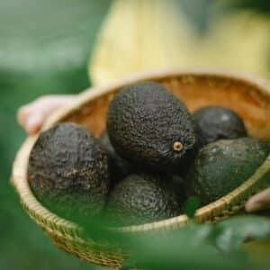 Palta Hass - 1 kg